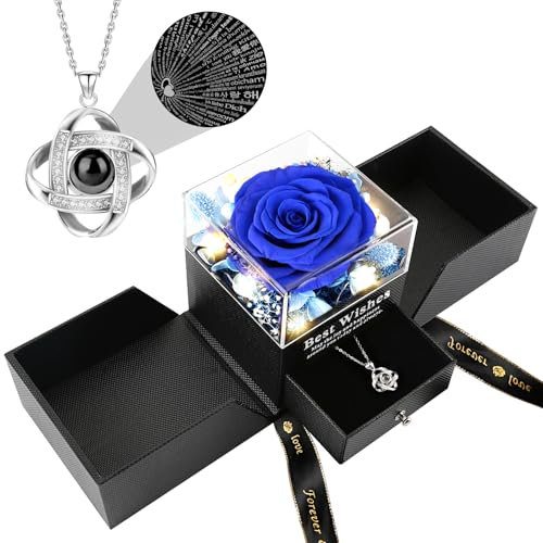 FAYODO Ewige Rose mit Ich Liebe Dich Halskette Damen,Echte Konservierte Blumen Rosenbox Geschenke für Frauen Mama Frau Valentinstag Muttertag Geburtstags Jubiläum(Saphirblau)