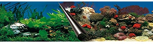 EBI Europet Bernina 241-108833 Photo-Rückwand, 60 x 30 cm Motiv Stone und Coral