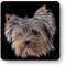Fractal Artworks Yorkshire Terrier Coaster with Fractal Art Design #2. Perfect Yorkshire Terrier Gift.