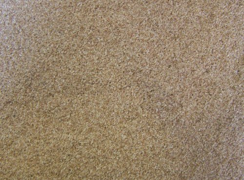 Räuchermehl Buche fein 1,00kg