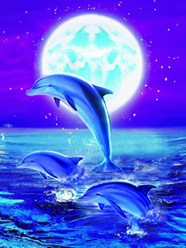 Bimkole DIY 5D Diamond Painting Zubehör Monddelfin, Meer Wolke Diamant Malerei Kit Voll Runde Bohrer Malen nach Zahlen Malerei Stickerei Kreuzstich Diamond Dekoration, (30x40 cm)