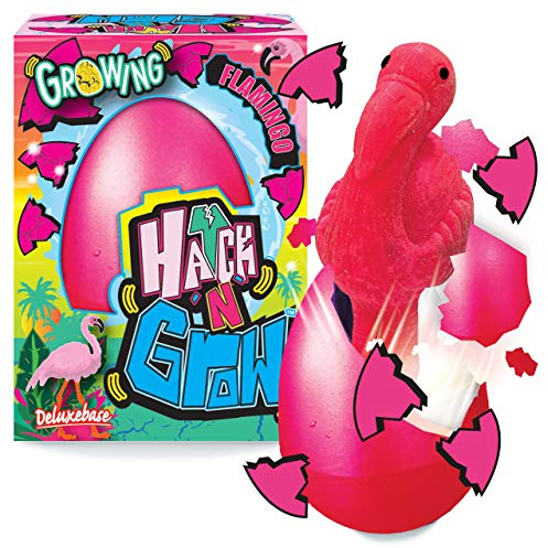Hatch n Grow - Flamingo von Deluxebase. 11cm großes, wachsendes und schlüpfendes Ei mit Flamingospielzeug. Legen Sie es ins Wasser um zu sehen wie Sich das magische Spielzeug verwandelt