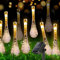 ZVO Solar Lichterkette Außen, 50 LED 7.5M Wassertropfen Solarlichterkette Tropfen Aussen, 8 Modi Outdoor Solarbeleuchtung Wasserdichte für Terrasse Garten Balkon Weihnachten Deko Innen (warmweiß)