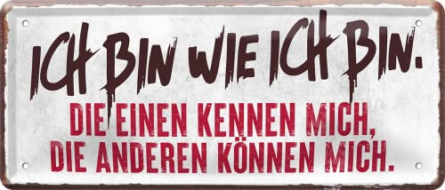 WOGEKA ART Retro Blechschild - Ich bin, wie ich bin - Lustiger Spruch als Geschenkidee zu Geburtstag Weihnachten als Deko Schild 28x12 cm Vintage Design Metallschild 2351
