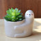 Dravmola Ceramic Sloth Planter Sloth Gift - Succulent Pot Cute Flower Pot Planter Small Plant Pot for Cactus Herbs Indoor Plants Home Decor( Plants NOT Included - Grey)