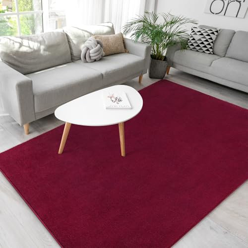 B BENRON Teppiche für Schlafzimmer, Mädchen, weicher Überwurf, Teppich für Kinderzimmer, Schlafsaal, Kinderzimmer, waschbar, Wohnzimmer, kleine Fläche, 10,2 x 15,2 cm, verdickter
