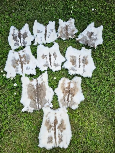 Provellus Kaninchen Felle Kaninchenfell viele Natur Farben TOP Gerbung (Braun gecheckt, 1 Stück 1.Wahl)