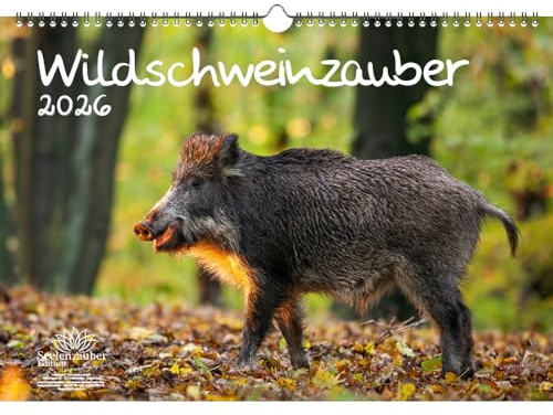 Wildschweinzauber DIN A3 Kalender für 2026 Schweine Schweinchen - Geschenkset Inhalt: 1x Kalender, 1x Weihnachtsanhänger (insgesamt 2 Teile)