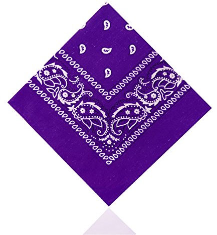 Lizzy Paisley Multifunctional Bandana's Headwear Neckwear Neckerchief Cycling Cowboy Scarf Head Neck Gaiter - Mens Womens Multipack Assorted Men Hair Pirate Bandana (Purple)