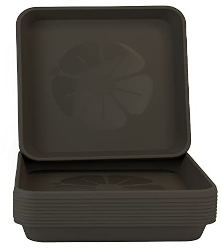 Home Garden Ornaments Square Plant Pot Saucers, Drip Tray – Set of 10 Plastic Garden Pots Large Trays for Outdoor and Indoor Plant (Anthracite, 34.2cm)