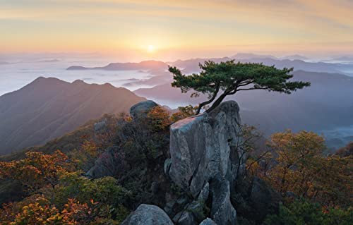 LHJOYSP Puzzle Jungen 3D Puzzle 1000 Teile,natürliche Schönheit,Korea,Bonsai,75x50cm