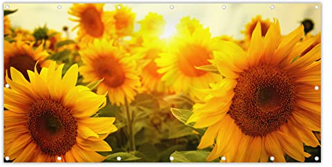 MuchoWow® Balkon Sichtschutz Sichtschutzmatte Balkonbanner Abdeckung für Terrasse Balkon Windschutz Blickdicht Wetterfest 200x110 cm Sonnenblume - Gelb - Blumen - Sonne