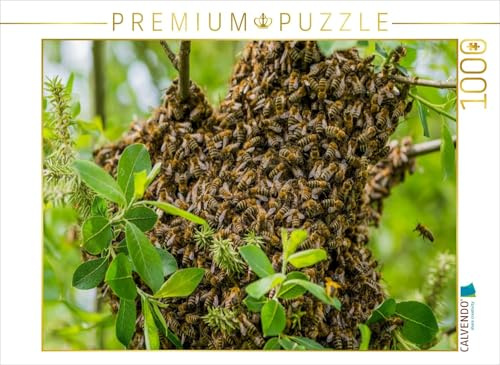 CALVENDO Puzzle EIN Schwarm | 1000 Teile Lege-Größe 64 x 48 cm Foto-Puzzle für glückliche Stunden