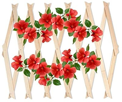 Expanding 6ft Wooden Trellis Climbing Plants Fence Panel Screening Lattice UK (Natural 180 x 60cm)