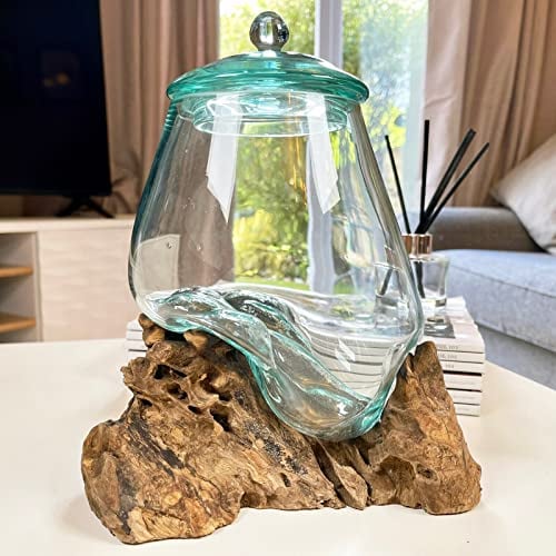 Darthome Molten Glass Jar Teak Root Stand With Lid Wood Decorative Bowl Rustic Ornament