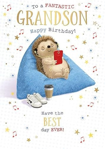 Words 'n' Wishes Fantastische Geburtstagskarte für Enkel für Jungen – Igel-Sitzsack, entspannend, geprägt, mit Folien-Details, umweltfreundlich