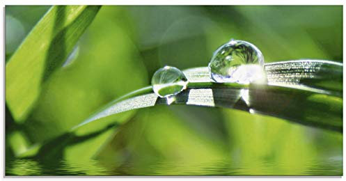 ARTland Wanddeko Glasbilder Wandbild Glas Bild einteilig 60x30 cm Querformat Natur Botanik Pflanzen Gräser Wassertropfen Gras Sommer Sonne Grün T5SE