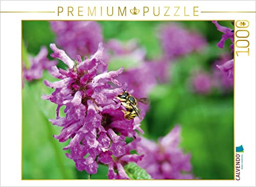 CALVENDO Puzzle Wildbiene auf Blüte. Wollbiene | 1000 Teile Lege-Größe 64 x 48 cm Foto-Puzzle für glückliche Stunden