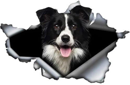 3D-Hunde-Auto-Dekorationen, Aufkleber, lustiger Auto-Aufkleber mit Border Collie, wasserdicht, PET-Aufkleber für Autos, Stoßstangen, Fenster, Kühlschränke