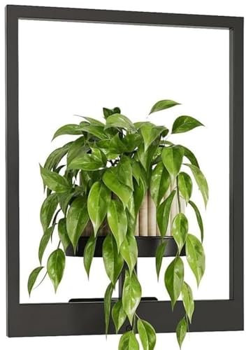 Support mural pour - Étagère murale pour pot de fleurs - Étagère murale pour pots de fleurs - Support d'exposition flottant pour jardin d'intérieur et balcon