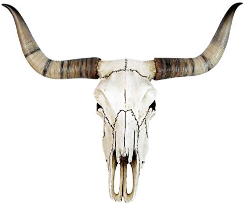 Veronese Design Bullenschädel Longhorn Schädel Skull Totenschädel Schädel Geweih Figur