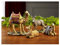 Three Kings Gifts Kamele, Esel & Ochse, Polystone flache Unterseite für Stabilität, Heimdekoration, Weihnachtskrippen-Sets und Figuren, 4-teilig, für die 35,6 cm große Kollektion