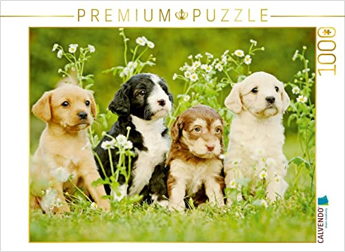 CALVENDO Puzzle Bunte Hunde | 1000 Teile Lege-Größe 64 x 48 cm Foto-Puzzle für glückliche Stunden