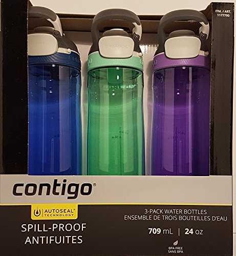 Contigo Autospout Stroh Ashland Wasser Flasche, Monaco/Mint/Grape, 24 oz. (3-Pack)