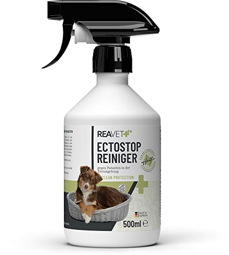 ReaVET EctoStop Reiniger - Umgebungsspray Ungeziefer Spray 500ml I Insektenspray zur effektiven Abwehr - bei akutem Befall gegen Mücken, Insekten, Milben, Läuse I für Hunde & Katzen