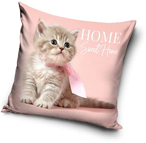 Katzen Baby Motiv Kissenhülle Kissenbezug 40x40 cm (PNL214092)