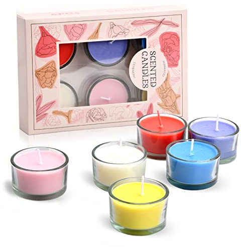 Pinsheng Candle Geschenkset, 6 Duftende Gefüllte Votivkerzen Soja Wachs Kerzen Geschenk für Die Frau Oder Freundin