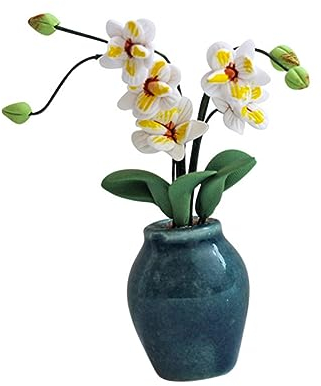 Cabilock Topfpflanze Magnolie Gründekor Miniatur-modellpflanzen Miniaturdekoration Kunstgrün Decoraciones para Sala De Casa Bonsai-schmuck Mini-hausschmuck Im Topf Keramik Vase Glas