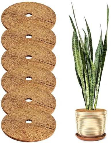 6 Stück 30cm Kokosmatte, Kokosmatte Pflanzen, Winterschutz Für Pflanzen, Pflanzenschutz, Kokosmatten, Unkrautschutzmatte, Nachhaltig Pflanzenschutz Frostschutz Kälteschutz Schutz Vor Nässe Und Frost