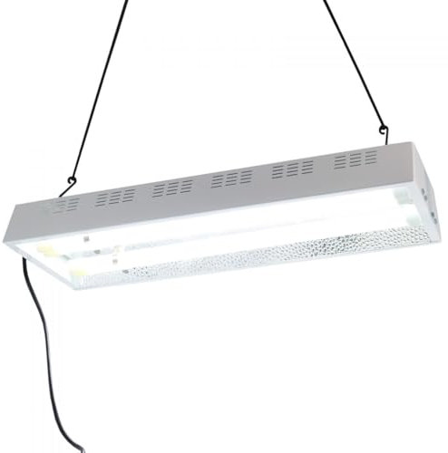 FLORASTAR Turbo Néon STARLITE 2 x 55W + tubes 6500K