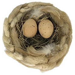 schenken-24 Deko/Ostern/Ostereier/Osterhasen/Auswahl/Osternest, Auswahl :Osternest mit Eiern