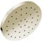 Delta Wasserhahn 52160-PN-PR25 Universal-Duschkomponenten, Lumicoat, poliertes Nickel, 2,5 GPM Wasserdurchfluss