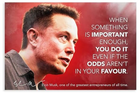 Elon Musk Zitat 4 Leinwand Poster Schlafzimmer Dekor Sport Landschaft Büro Zimmer Dekor Geschenk ungerahmt 30 x 45 cm