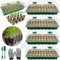 VEEKAY Mini Serre pour Plantes,4 Pièces 144 Cellules Bac à Semis Biodegradable Pot,Serre Interieur Plateaux de Culture,Bac Culture avec Couvercle et Ventilation,Plateau de Semis Hydratant