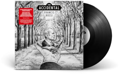 The Accidental (Black LP / 180g / Gatefold)