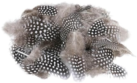 50 Stück Natürliche Federn Deko Federn Osterdeko, Federn zum Basteln, Huhnfedern Wachteleier Deko, Braun Federn Basteln Weich Feather, Naturfedern Hühnerfeder Kopfschmucksfedern für DIY Kunstwerk