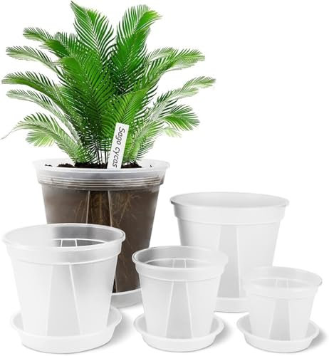 AONYIYI 5 vasi trasparenti per orchidee, con fori e piattini, orchidee, per interni ed esterni, balcone, scrivania (10/12,7/14/15,2/17,7 cm)