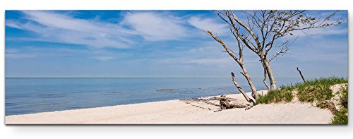 Paul Sinus Art Leinwandbilder | Bilder Leinwand 120x40cm Baum am Strand – Ostsee