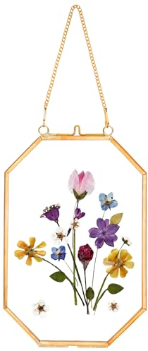 REDHUGO Cadres pour fleurs pressées, cadres flottants en verre pour présenter des spécimens de plantes séchées et des photos, cadre photo en laiton avec chaîne suspendue, double verre clair, octogonal
