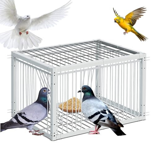 MOGOULUA Gabbia per piccioni, con design anti-eruzione, per fagiani anatre selvatiche, 40 cm