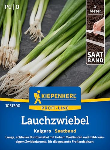 Kiepenkerl Profi-Line Lauchzwiebelsamen Kaigaro 1051300 – Gemüsesamen für lange und schlanke Buntzwiebeln mit einer Wuchshöhe von 30 bis 40 cm - Saatband
