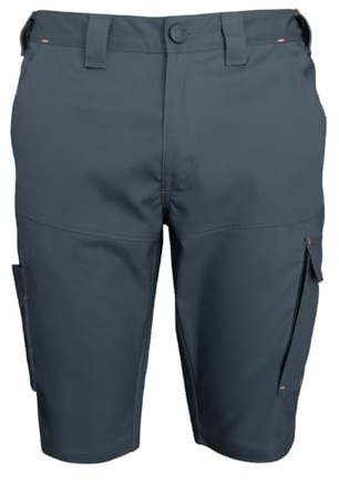 FORSBERG | Kurze Arbeitshose | Buxa II mit 2-Wege-Stretch & nachhaltigem Tencel | Cargo-, Zollstock- & Smartphone-Tasche | Shorts, Farbe:anthrazit, Größe:46