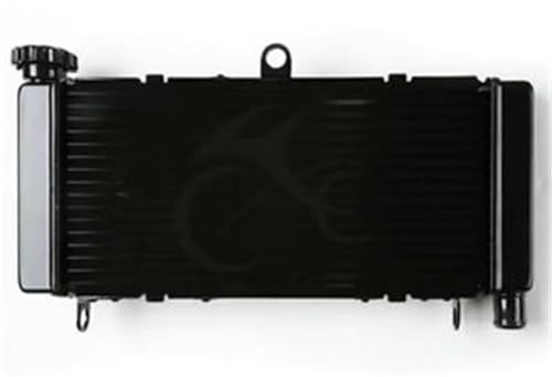 Sistema di Raffreddamento del radiatore in Alluminio per Motocicletta per Honda CB600F Hornet 600 1998-2006