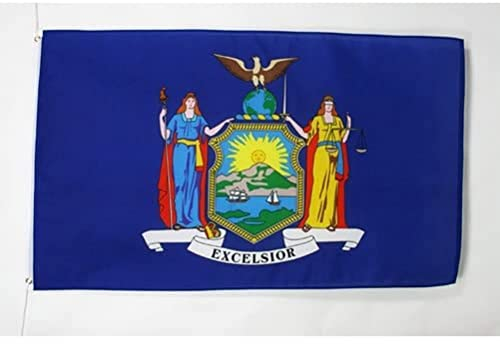 AZ FLAG - Flagge New York - 90x60 cm - Bundesstaat New York Fahne 100% Polyester mit Messing-Ösen - 50g