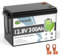 TCBWORTH Bateria Litio 12V 300Ah Batería LiFePO4, 15000+ Ciclo Profundo, Protección contra Bajas Temperaturas, para Autocaravana, Sistema Placa Solar, Barco, Hogar, Kit Solar, Camping