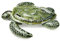 Intex Realistic Print Sea Turtle Inflatable, 75 X 67, for Ages 3+